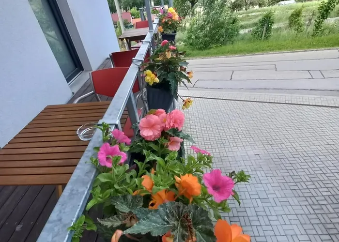 萨尔玛旅馆 3* Český Krumlov