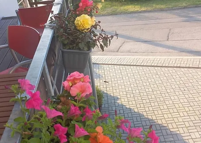 萨尔玛旅馆 Český Krumlov