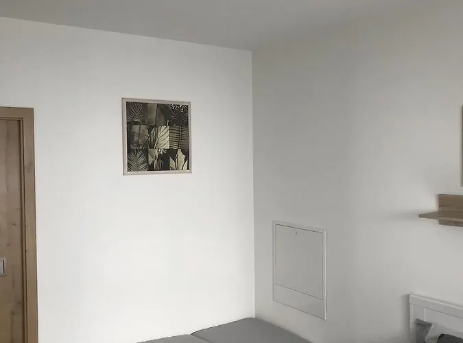 萨尔玛旅馆 3* Český Krumlov